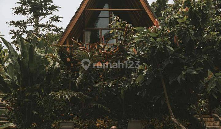 Eco Resort View Sungai Dan Jungle Di Bali 1