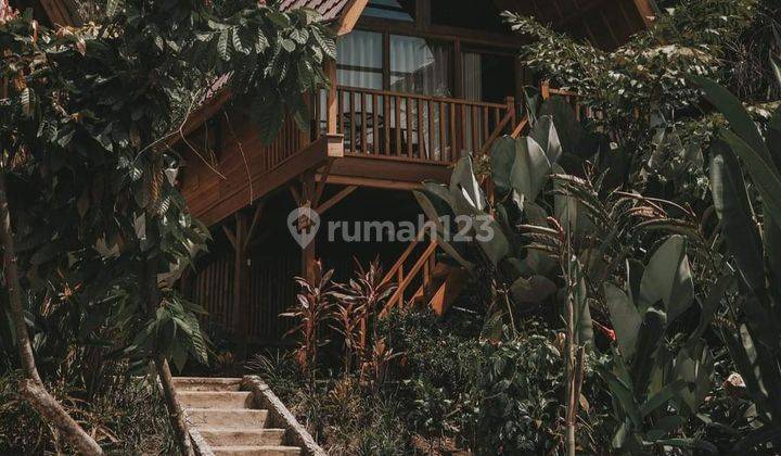 Eco Resort View Sungai Dan Jungle Di Bali 2