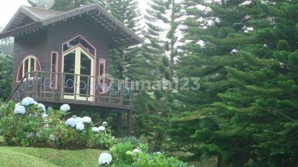 Villa Lt 2.560m2 Lembang Asri Bandung 9.5M 2