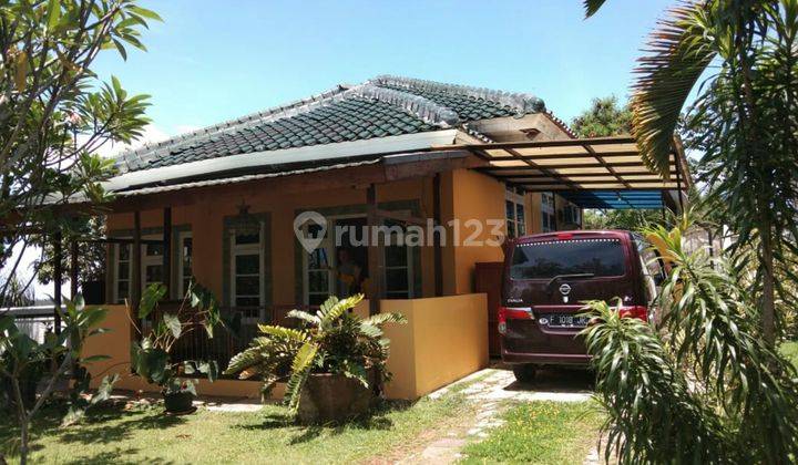 Rumah Tumbuh Di Green Area 1