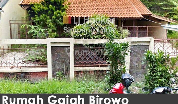 Rumah Gajah Birowo Raya Tlogosari Lahan Parkir Luas 1