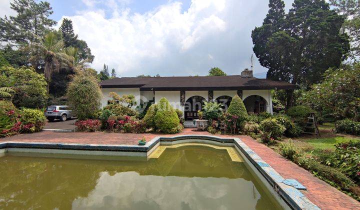 Villa Coolibah Puncak Cipanas dekat Raja Outlet dan Brasco 1