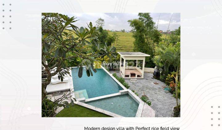 Modern Design Villa With Perfect Rice Field View in Pererenan Canggu 2