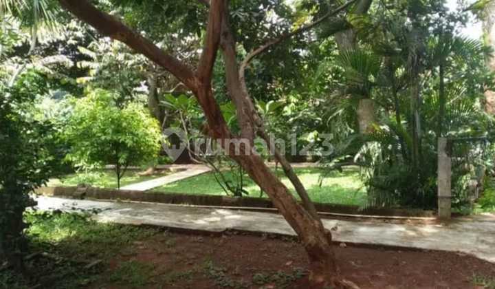 Rmh Tanah Yg luas di jagakarsa jakarta selatan 2