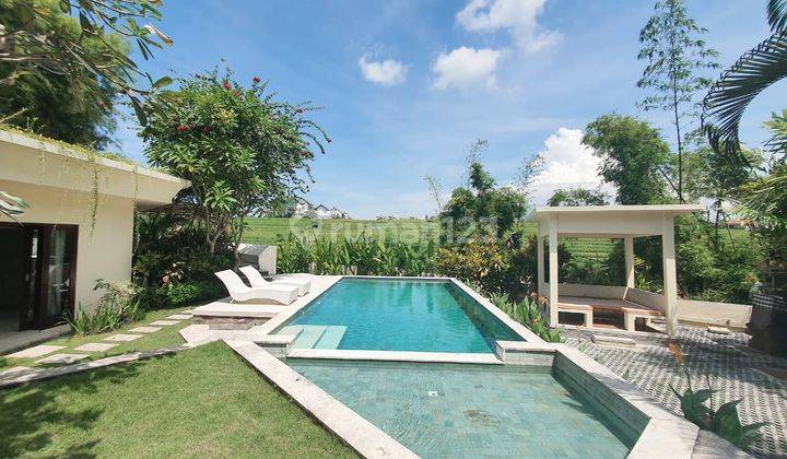 PRICE REDUCTION...Amazing modern villa with spacious land and rice fields view ,only 5 minutes to the beach at Pererenan Canggu, North Kuta, Badung Bali 2