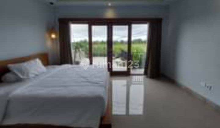 Villa 3 br murah minimalis di tumbakbayuh canggu 2