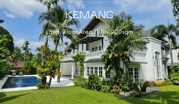 For sale rumah compound house tropical garden di kemang 1