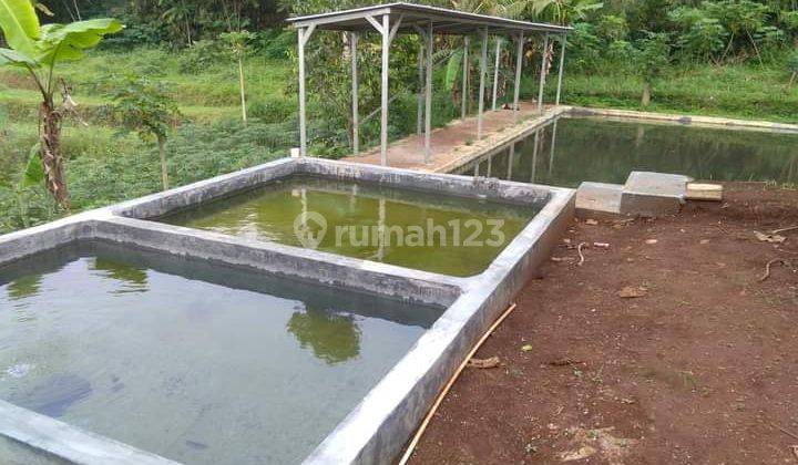 Rmh Villa, Kolam Pancing, Kebun di Tanjungsari 2