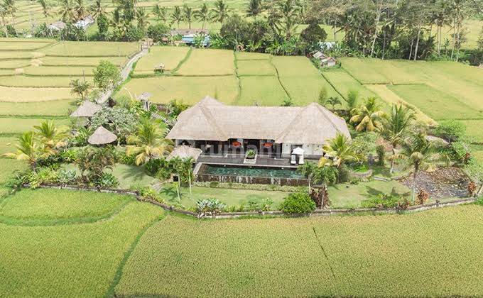 Miliki Villa dengan view terbaik di Keliki, Ubud 2