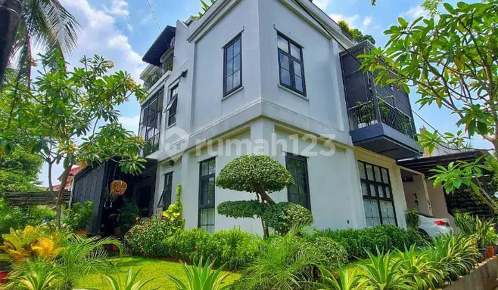 Rumah Clasic Tropical Pool Pribadi Di Bintaro Jaya Tangsel