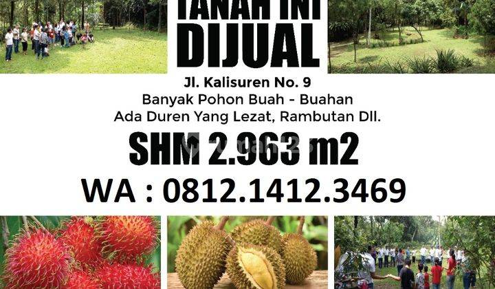 Tanah Kebun ada pohon buah, Harga Nego di Tajur Halang Bogor 1