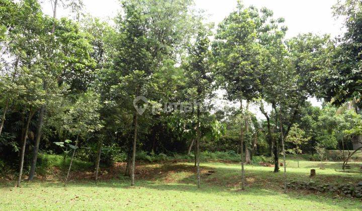 Tanah Kebun ada pohon buah, Harga Nego di Tajur Halang Bogor 2