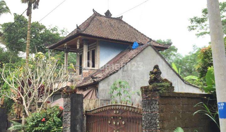 Rumah dengan tanah sangat luas di tegalalang 1