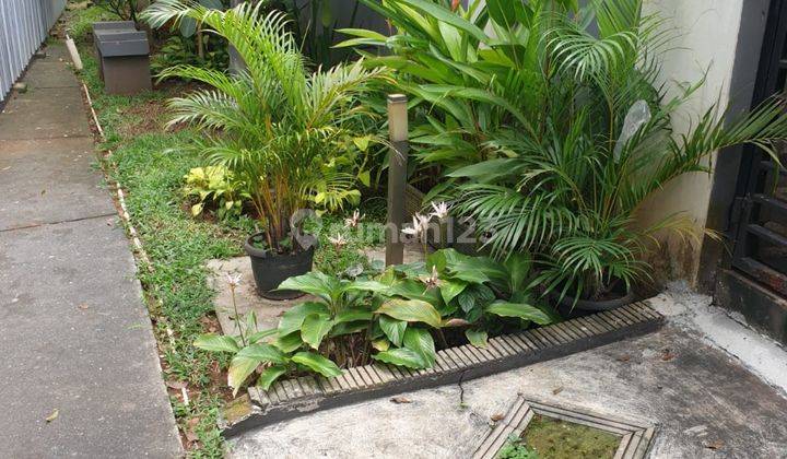 RUMAH SIAP HUNI DI FORESTA BSD (LAN) 2