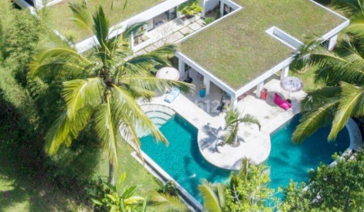 MURAH BANGET VILLA LT: 2500M2 HARGA CUMA 12,5MILYAR AJA LOKASI UBUD 2