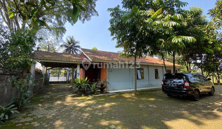 DiJual tanah 9350m bonus rumah & kebun buah di kemang bogor 1