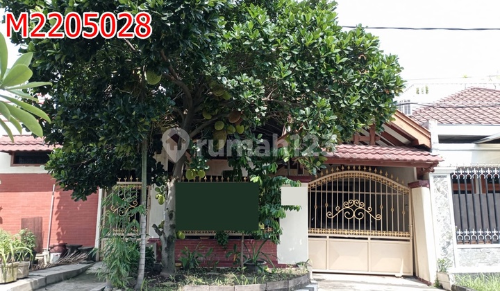 Dijual Termurah Rumah Darmo Permai Selatan Dkt Kupang indah Sukomanung Dijual Termurah Rumah Darmo Permai Selatan Dkt Kupang indah Sukomanung