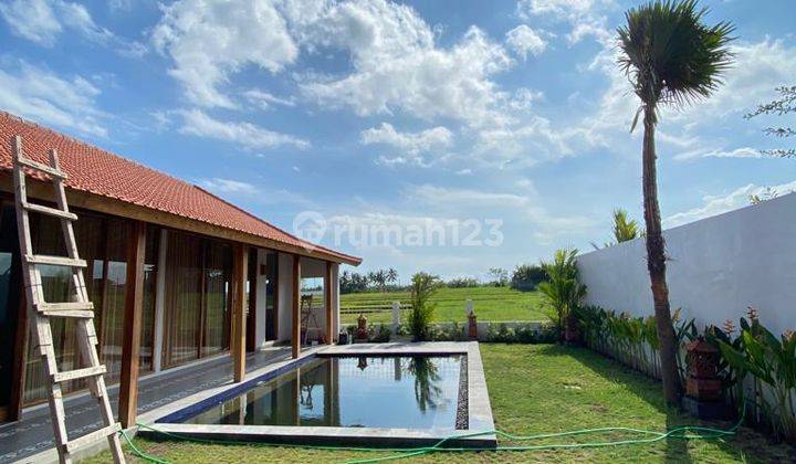 New 2 Br Villa in Seseh Canggu with Rice Field Views 1