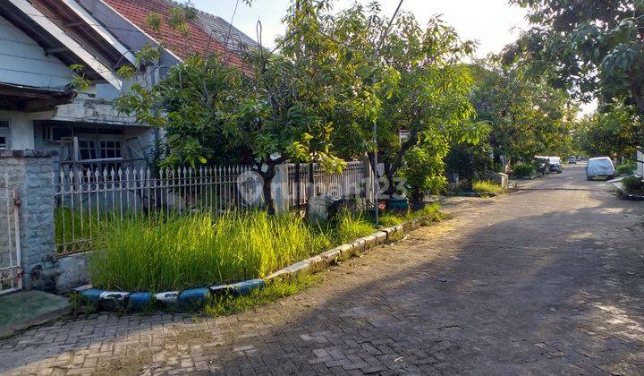 JUAL RUMAH SEHARGA TANAH SAJA 1