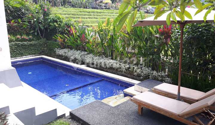 BEAUTIFUL VILLA BEAUTIFUL VILLA