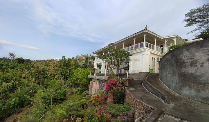 Luxury villa colonial style full view laut abadi di pantai lovina singaraja 2