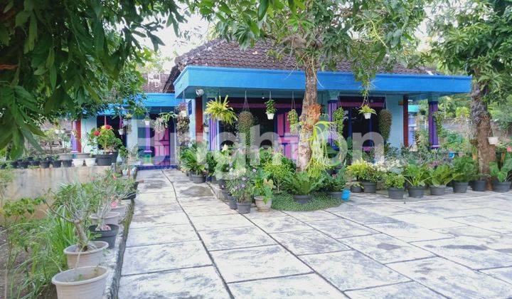 TANAH BONUS RUMAH DEKAT KAMPUS UNY YANG BARU 2