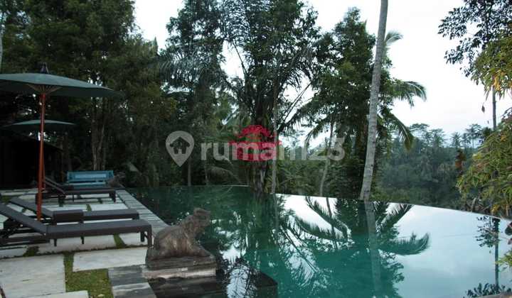 Villa Jual Lokasi Payangan