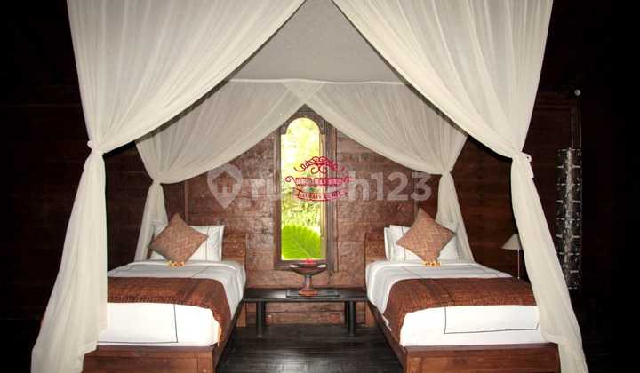 Villa Jual Lokasi Payangan 2