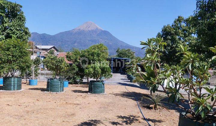 Tempat usaha siap huni. Harga termurah. Lokasi strategis. 1