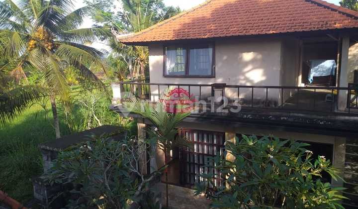 Villa Jual Lokasi Ubud 2