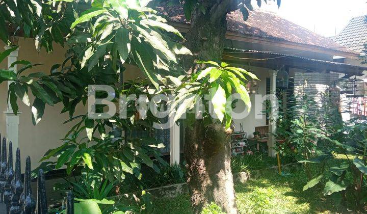 Di  Rumah Besar  Dlm Kota Jogja Dekat Kec Umbul Harjo 2