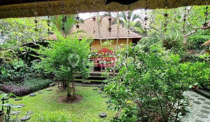 Villa Jual Lokaai Padang Galak 2