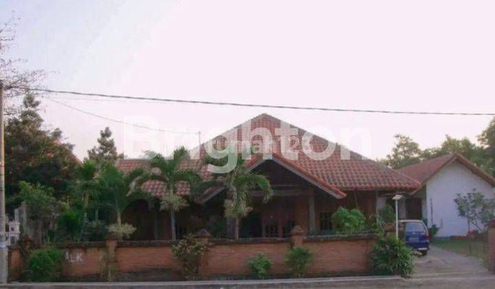 Rumah Etnik nan Asri 2