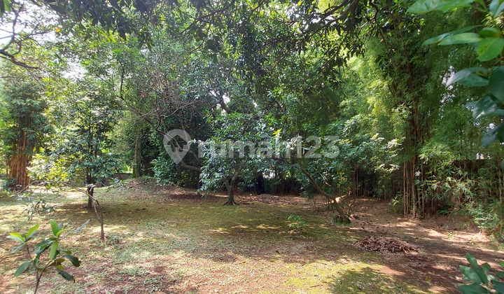 Harga mendekati njop halaman luas dekat toll Brigif di Jagakarsa