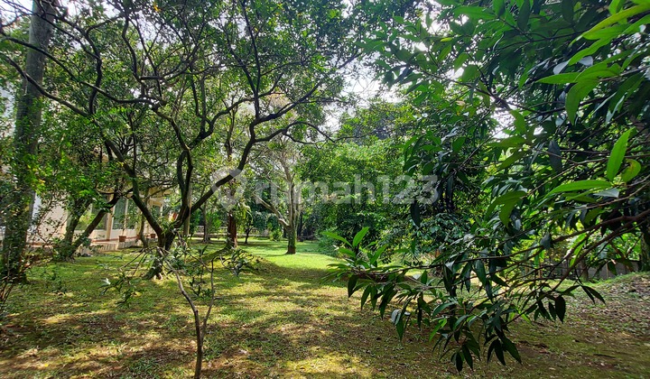 Harga mendekati njop halaman luas dekat toll Brigif di Jagakarsa 2