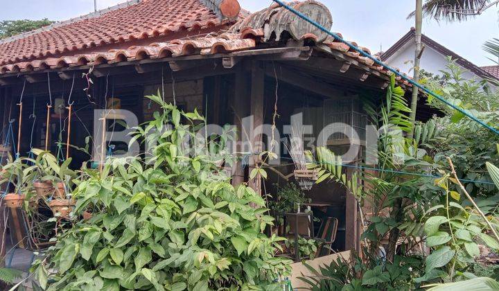 RUMAH KLASIK HALAMAN LUAS DI PINGGIR JALAN 1