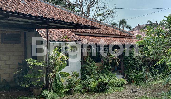 RUMAH KLASIK HALAMAN LUAS DI PINGGIR JALAN 2