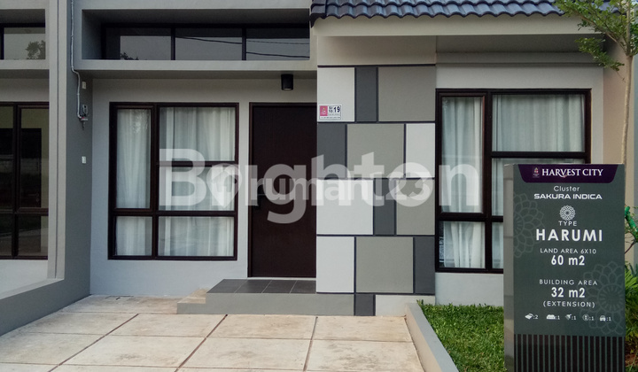 HARVEST CITY TYPE SAKURA INDICA HARUMI