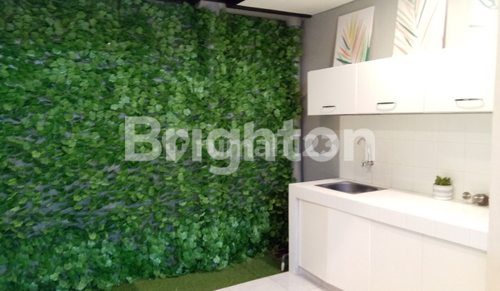 HARVEST CITY TYPE SAKURA INDICA HARUMI 2