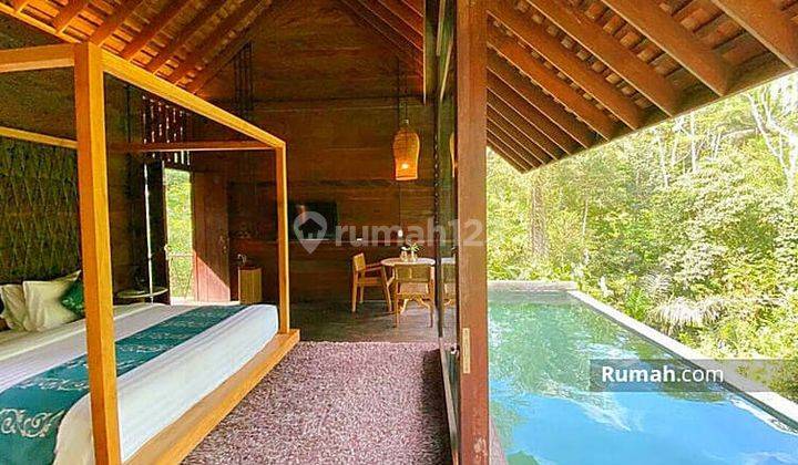 Villa diubud dengan view sungai dan hutan langsung  2