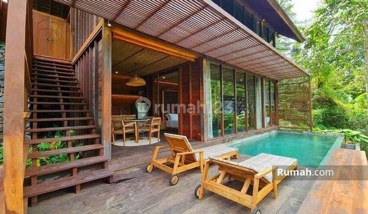 Villa diubud dengan view sungai dan hutan langsung  1