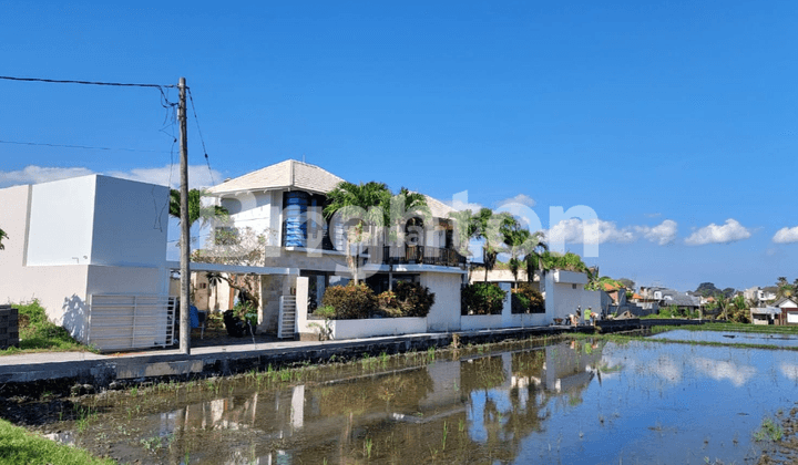 Villa Cemagi Canggu Kaingan De Magi Full Furnished 1