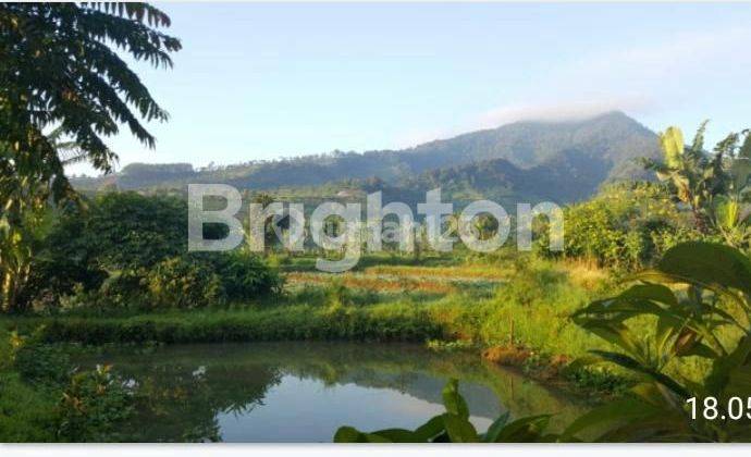 VILLA INDAH NYAMAN DAN ASRI DI KOTA BOGOR PUNCAK 2