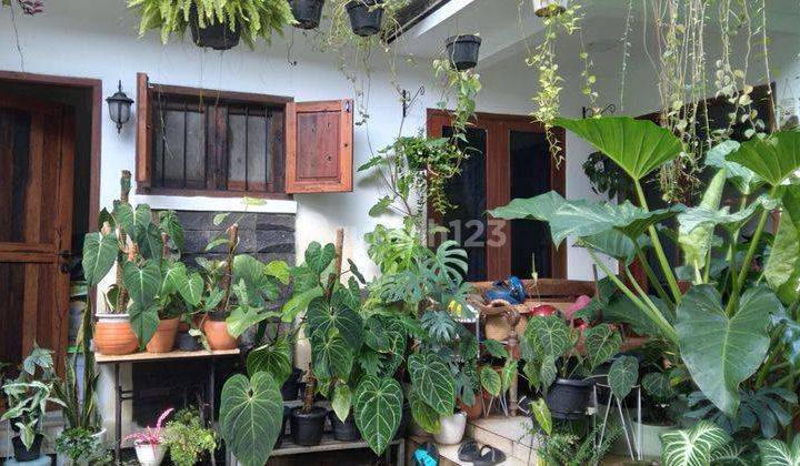 Rumah Asri Jual Cepat Lokasi Strategis Sektor 5  Bintaro Jaya Semi Furnished Harga BU  2