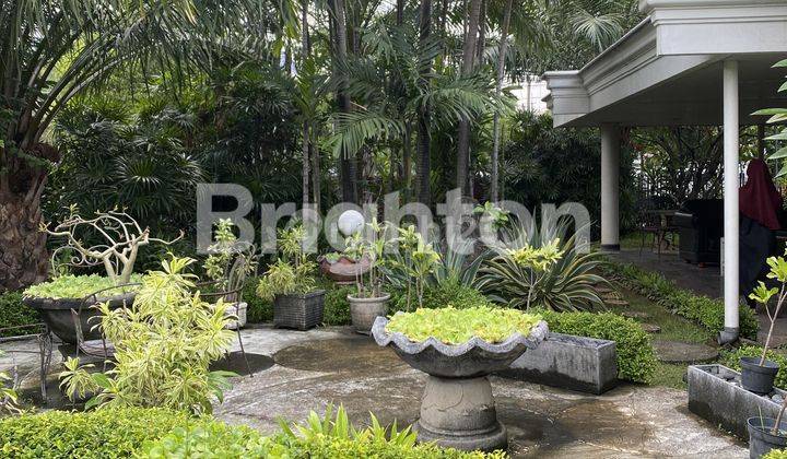 RUMAH LANGKA KOMERSIAL AREA DI JL DIPONEGORO SURABAYA 1