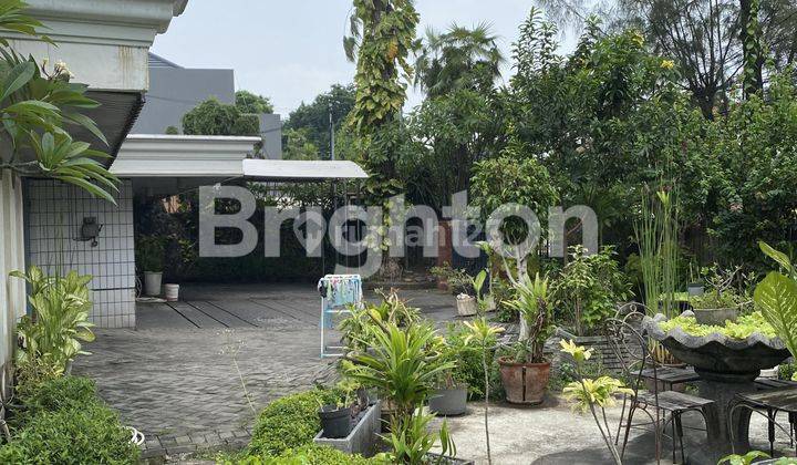 RUMAH LANGKA KOMERSIAL AREA DI JL DIPONEGORO SURABAYA 2