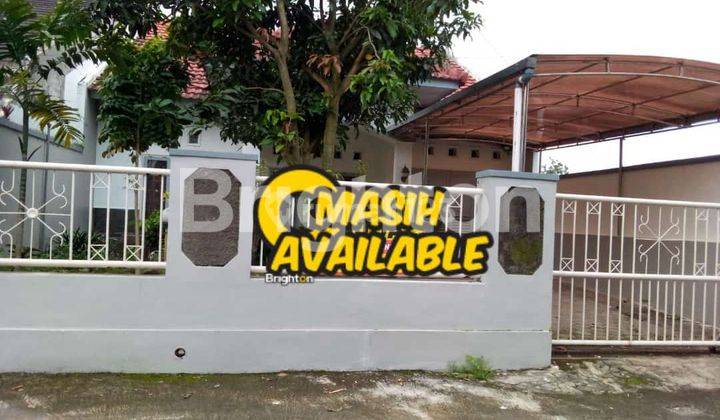 RUMAH 1 LANTAI DEKAT JALAN DAMAI 1