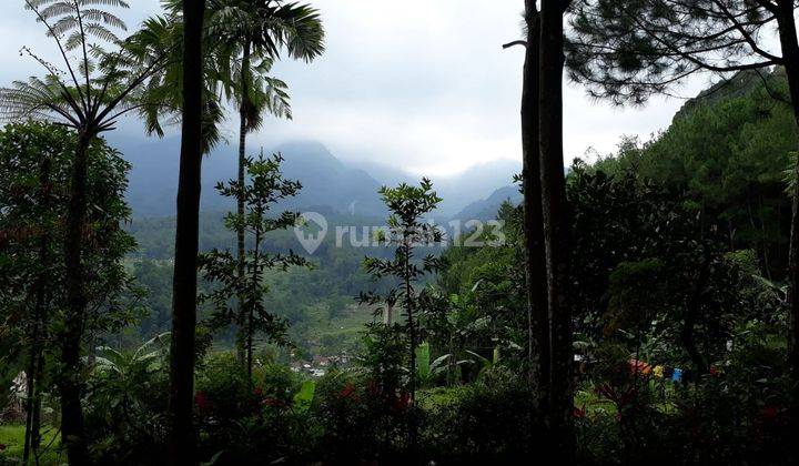 VILLA HITUNG TANAH SAJA DI DEKAT TAMAN NASIONAL GUNUNG SALAK ENDAH 1