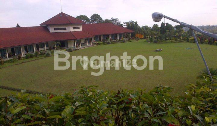 VILLA WONOSALAM DAN KEBUN BUAH BUAHAN DAN TANAMAN CENGKEH KOPI SAYUR SAYURAN 1