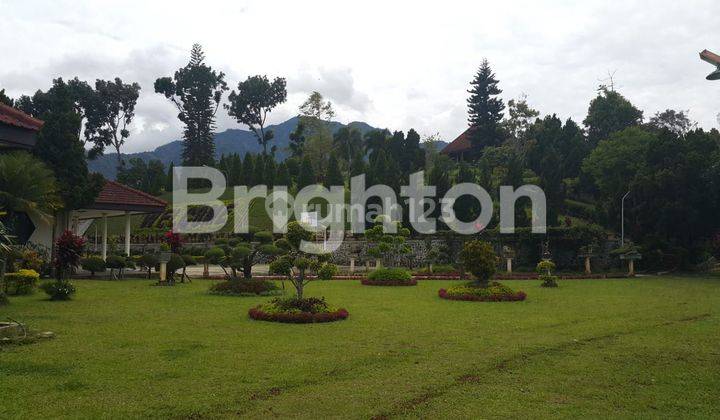 VILLA WONOSALAM DAN KEBUN BUAH BUAHAN DAN TANAMAN CENGKEH KOPI SAYUR SAYURAN 2